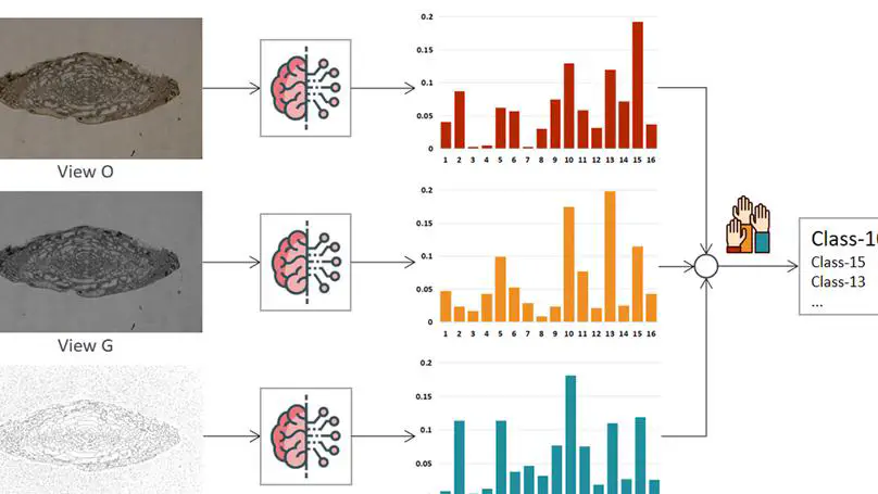 Fossil image identification using deep learning ensembles of data augmented multiviews